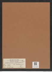 Actinoptychus adriaticus var. balearicus Grun. (de-Toni-Nr.: Genus 227, Species 5557) Zeichnungen Sammlung Grunow Mappe 05316 (Herbarium_W_Grunow_drawings_Folder_05316)